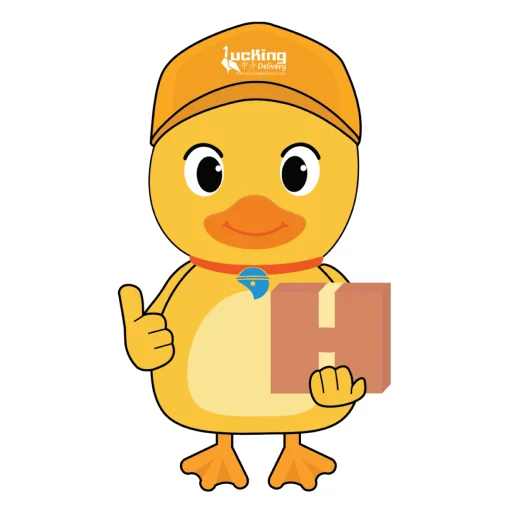 I-download ang Ducking.id: Import Mula China Patungong Indonesia
